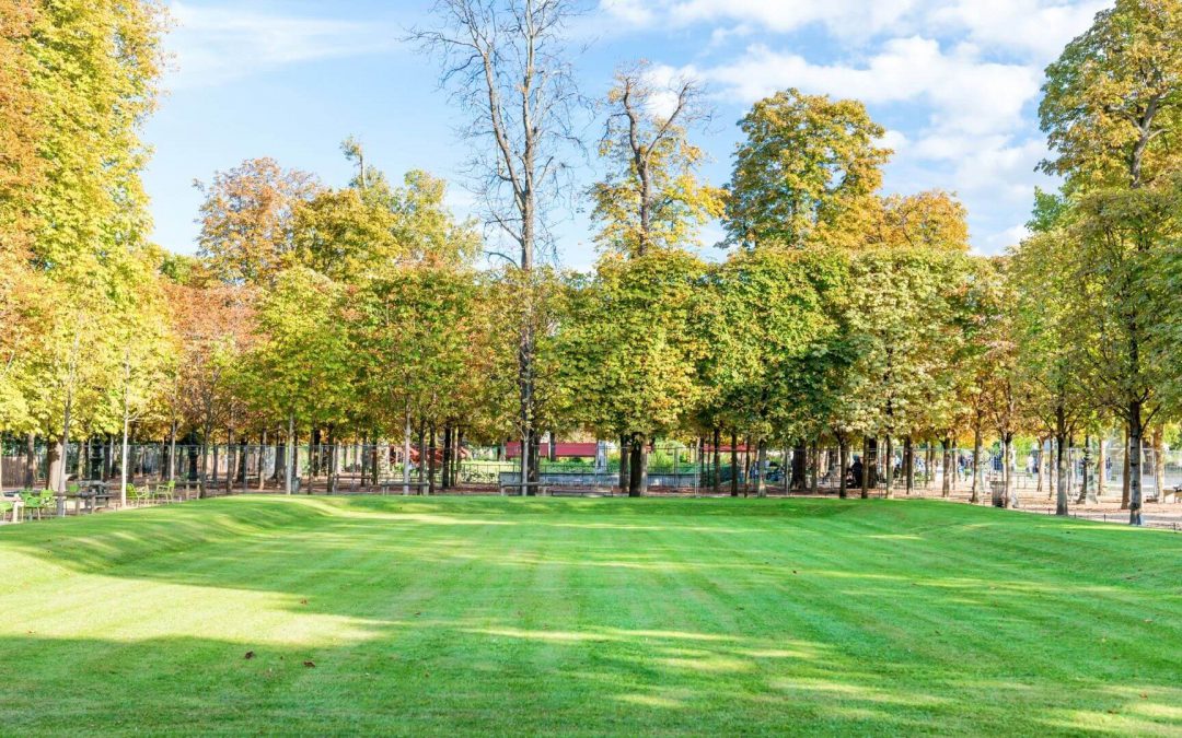 Pourquoi opter pour un paysagiste à Yutz pour l’entretien de votre jardin ?